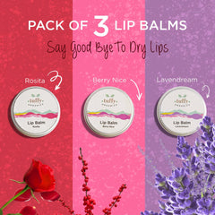 Lip Balm Bundle Pack Of 3